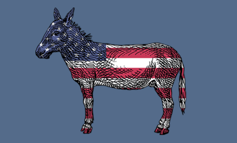 donkey